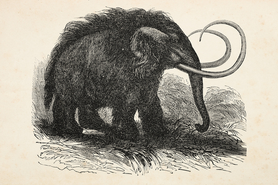 mammoth