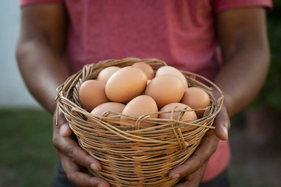 man hand holding wire basket of fresh chicken eggs