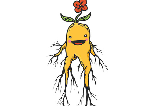 mandrake