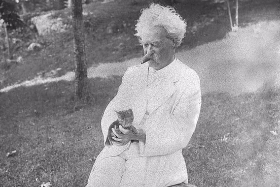 mark twain and kitten