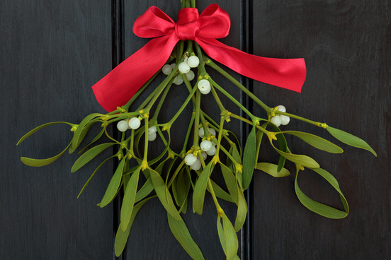 mistletoe