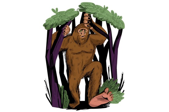 monster sasquatch photo
