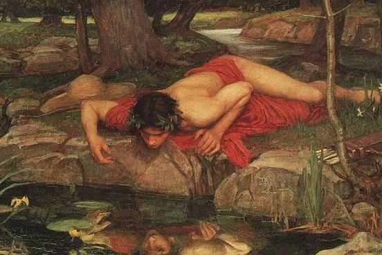 narcissus