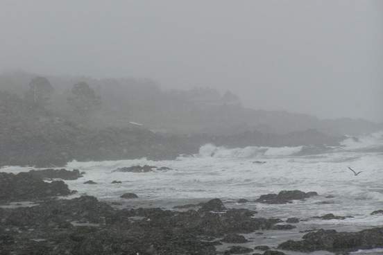 northeaster
