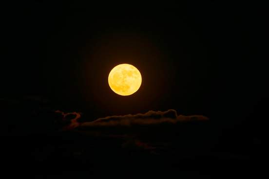 orange hunters moon
