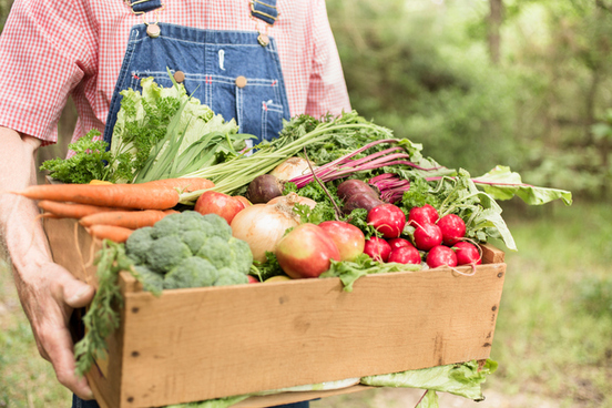 organic farm