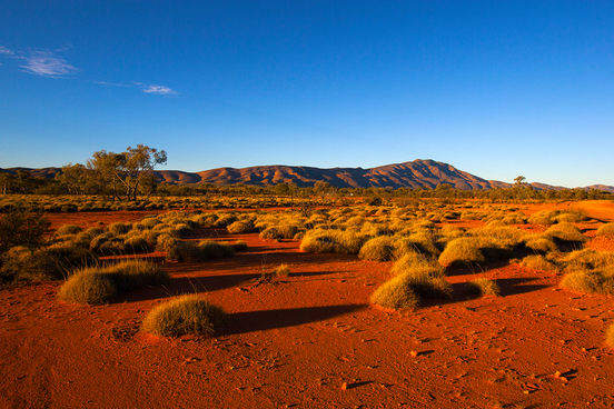 outback