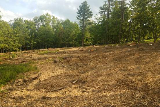 parcel of cleared land