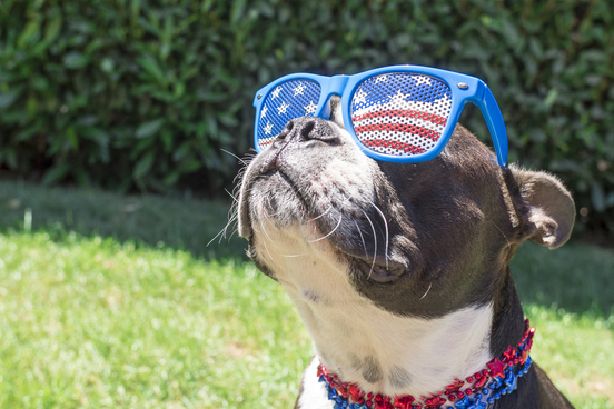 patriotism