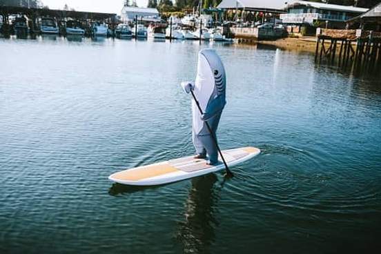 person paddleboarding in whale costume