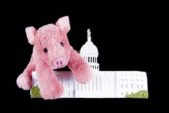pig-stuffed-animal-on-capitol-building