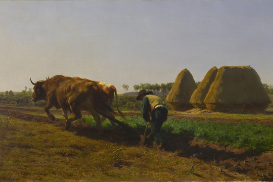 plough