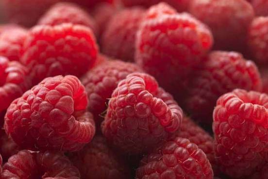 raspberry close up photo