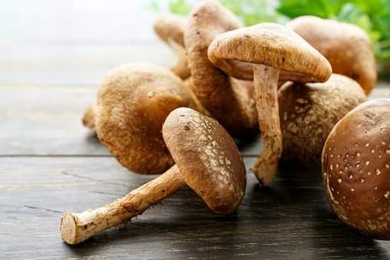 shiitake mushrooms