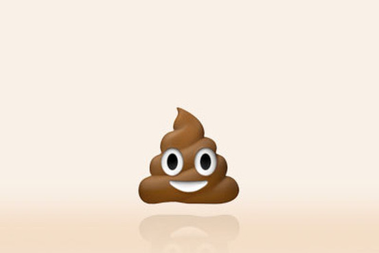 smiling poo