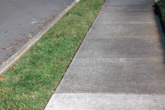 strip of turf next to a sidewalk
