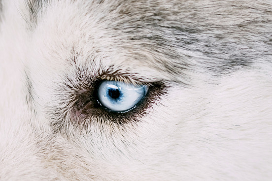 the real history behind 10 words warg