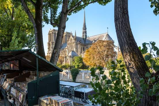 three quarter rear view of notre-dame de paris cathedral and the river seine by a sunny evening at the beginning of fall with restaurant boat and bookstall in the foreground