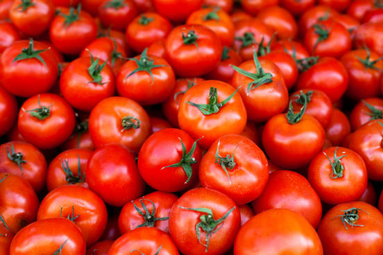 tomato