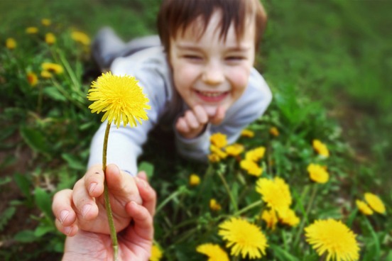 top 10 words of summer dandelion