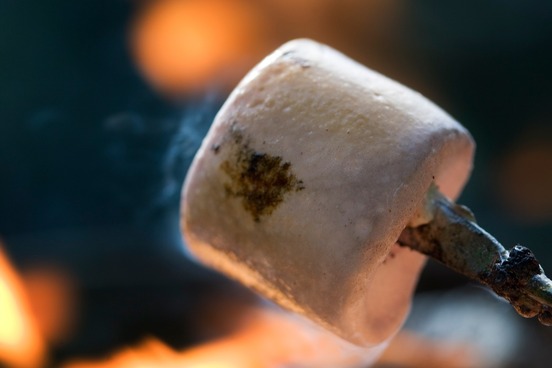 top 10 words of summer marshmallow
