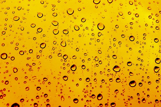 top 10 words of summer perspiration