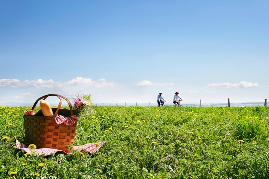 top 10 words of summer picnic