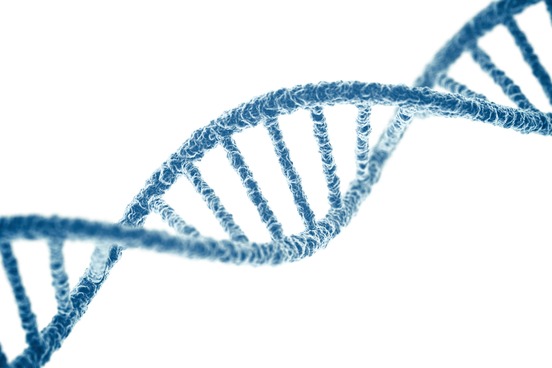 top 10 words of the 90s genome