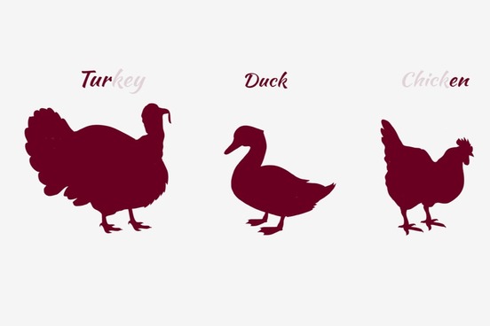turkey duck chicken