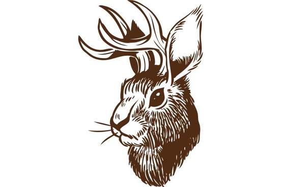 vector image of jackalope head