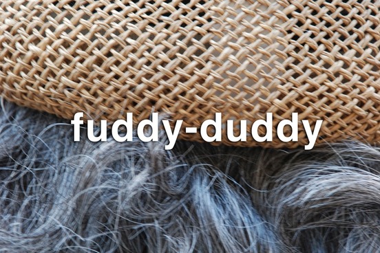 weird rhyming words fuddy duddy