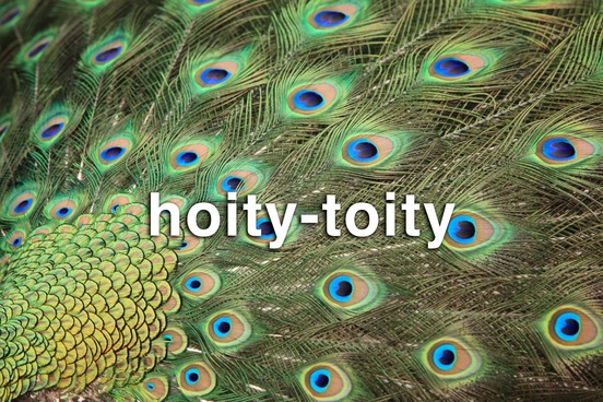 weird rhyming words hoitytoity