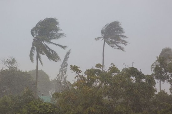 wind words squall