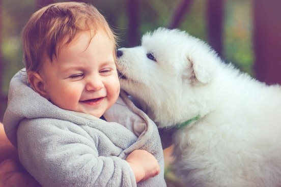 words for other peoples kids whelp baby and dog