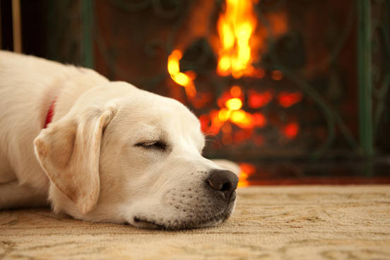 yule