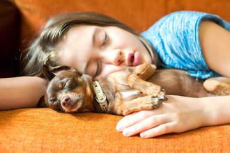 Little girl taking a nap on the couch with her small dog