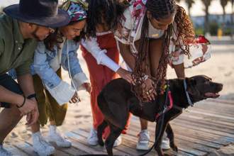 a group of friends scratching and giving attention to a chocolate labrador