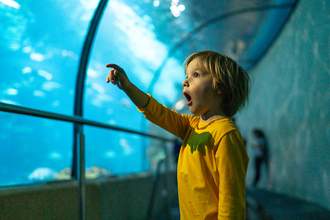 a young boy points at something in awe