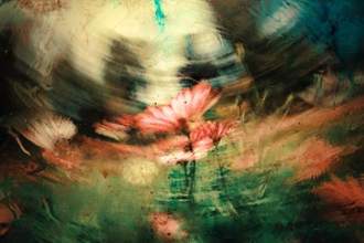 abstract field of flowers