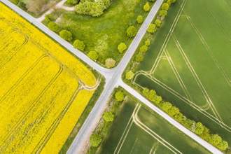 aerial view of canola and wheat fields