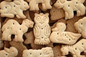 an array of animal cracks in different forms