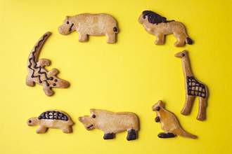 animal shaped cookies