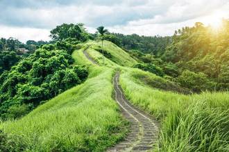 beautiful green trail in bali indonesia
