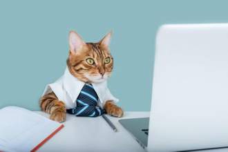 cat in a blue tie near a laptop and a diary sits home office