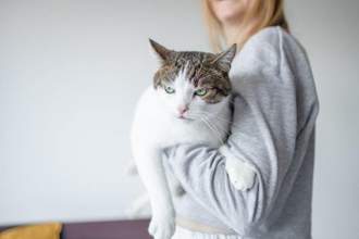 cat looking annoyed while being held by their owner
