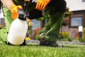 caucasian men fighting grass lawn weeds