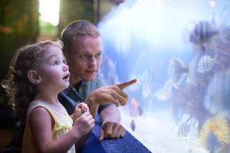 child looking in awe at fish in the aquarium while her father points them out