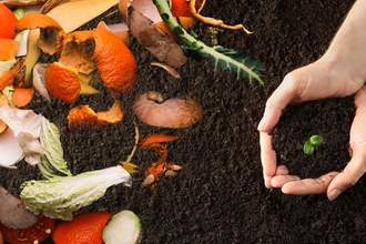 compost materials on the left side with fresh soil and hands holding a newly sprouted plant on the right