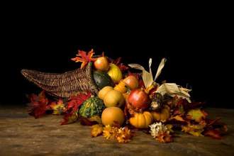 cornucopia with an assortment of pumpkins squash and corn