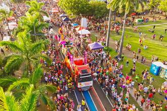 crowds enjoying a colorful parade at martinique festival